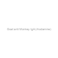 Goat anti Monkey IgA (rhodamine)